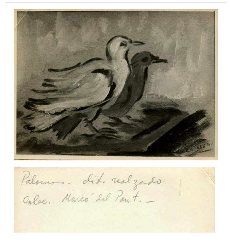 Dibujo Serie Campo
